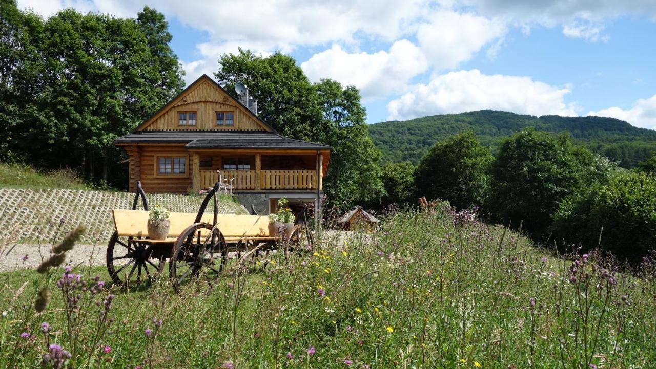 Hotel Bieszczadzkie Marzenie Wetlina Exterior foto
